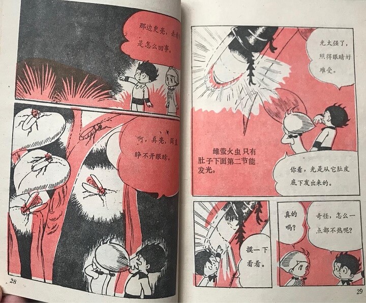 内页